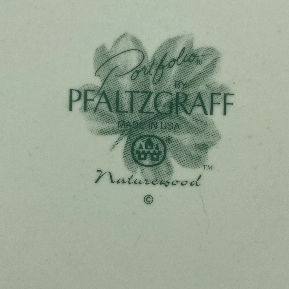 Portfolio Pfaltzgraff Naturewood Dinner Plates 11